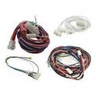 Whirlpool Part# W11188793 Wire Harness (OEM)