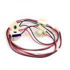 Amana AGR5630BDB1 Igniter Switch and Harness Assembly Genuine OEM