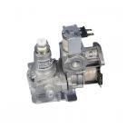 LG DLGX3002P Gas Valve Assembly - Genuine OEM