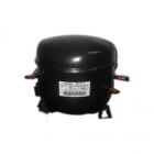 Frigidaire Part# 5304487806 Compressor Kit (OEM)
