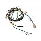 Electrolux EDW7505HPS0A Wire Harness (Frame) - Genuine OEM