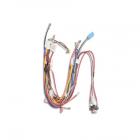 Electrolux EWMED65HSS0 Dryer Wire Harness - Genuine OEM