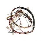 Frigidaire FGHD2465NB0A Wire Harness - Genuine OEM