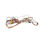 Frigidaire FFLE1011MW0 Spark Ignition Switch Wire Harness - Genuine OEM