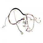 Frigidaire FGCD2436SF0A Main Wire Harness - Genuine OEM