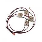 Frigidaire FGF368GSE Spark Ignition Switch & Wire Harness - Genuine OEM