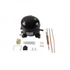 Frigidaire LFFU17F5HWJ Compressor Kit Genuine OEM