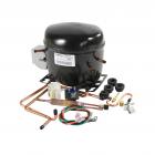 GE BSS25GFPHWW Compressor Kit (EGYS60) Genuine OEM