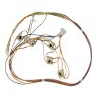 GE ZGU385LSM1SS Ignition Spark Switch and Harness - Genuine OEM