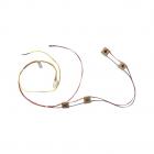 GE AGBS300EP4WW Burner Box Wire Harness - Genuine OEM