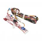 GE GTWN4950F0WW Main Wire Harness - Genuine OEM