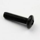 Haier Part# 1006800004 Screw (Tv To Stand) (OEM)