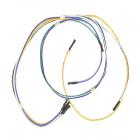 Hotpoint RGB527ET1 Wire Harness (High Voltage) - Genuine OEM