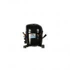 Kenmore 253.24422101 Freezer Compressor Kit Genuine OEM