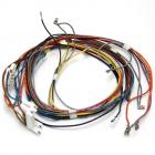 Kenmore 790.36683501 Main Electrical Wiring Harness