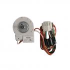 Maytag MFI2670XEB9 Evaporator Fan Motor - Genuine OEM