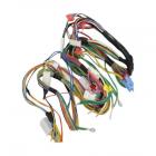 Samsung DMT400RHW/XAA Main Wire Harness  - Genuine OEM