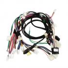 Whirlpool Part# W10129751 Wire Harness (OEM)