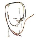 GE Part# WB18T10038 Main Wire Harness (OEM)