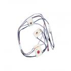 Amana AGR5735QDQ Spark Igniter Wire Harness - Genuine OEM