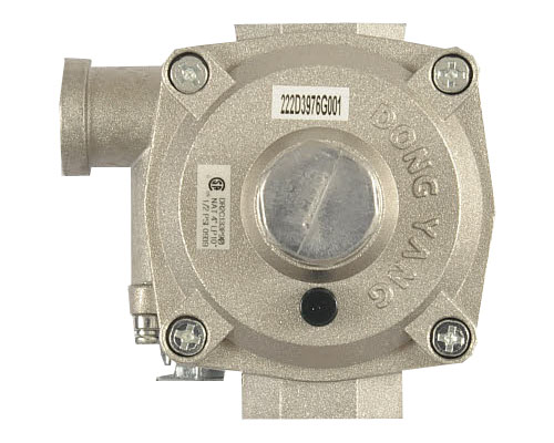 Part 316021104 Range Pressure Regulator Bracket Screw Genuine Original Equipment Manufacturer OEM 