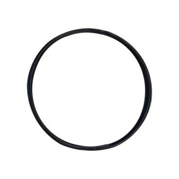 Viking Part# 039722-000 Sump Gasket - Genuine OEM