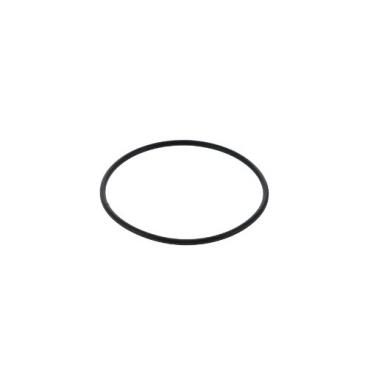 Homelite Part# 099077001059 O-Ring - Genuine OEM