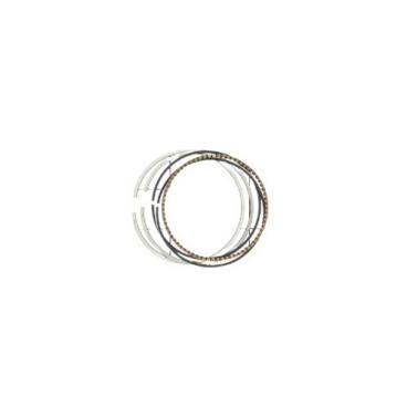 Homelite Part# 099981173012 Scraper Ring Set - Genuine OEM
