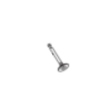 Homelite Part# 099981173020 Intake Valve - Genuine OEM