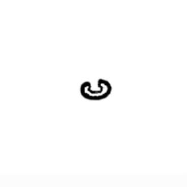 Echo Part# 12316910630 Retaining Ring - Genuine OEM
