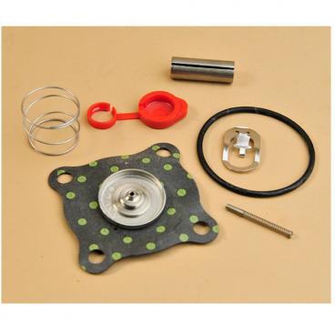 Asco Part# 158-811 Repair Kit (OEM)