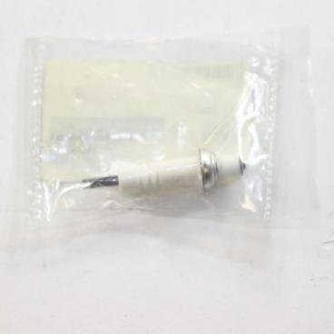 Fisher and Paykel Part# 210562 Electrode (OEM)