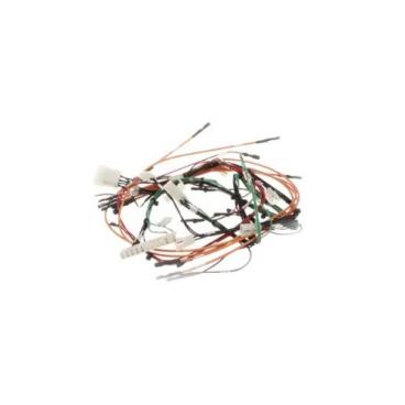 Fisher and Paykel Part# 211809 Main Wire Harness - Genuine OEM