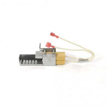 Fisher and Paykel Part# 239679P Igniter Assembly Main Burner - Genuine OEM