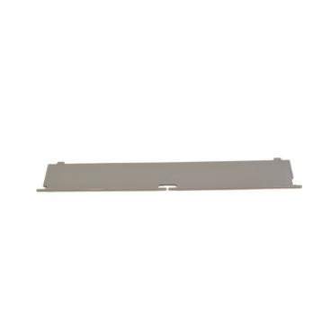 Samsung DV42H5600EW/A3 Filter Cover - Genuine OEM