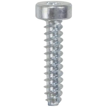 Whirlpool Part# 251915100047 Screw - Genuine OEM