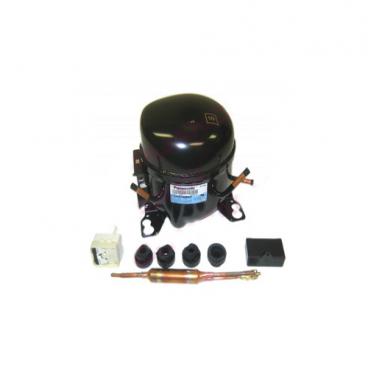 Amana A8TXNWFXB01 Compressor Kit - Genuine OEM