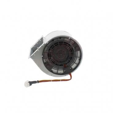 Jenn-Air JXW8536HS0 Hood Fan Assembly - Genuine OEM