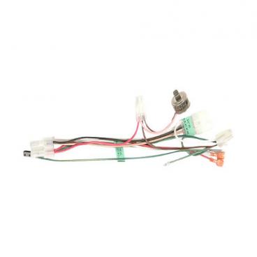 Roper RT14BKXFN02 Wire Harness - Genuine OEM