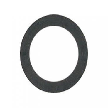 Carroll Parts Part# 42053ISE Mounting Gasket (OEM)