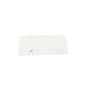 Saeco Part# 421941302081 Water Door Container - Genuine OEM