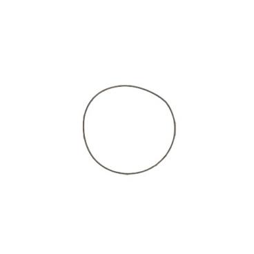 Homelite Part# 43312 O-Ring - Genuine OEM