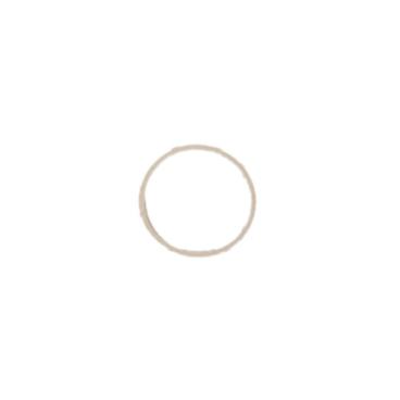 Milwaukee Part# 45-06-5317 Turcon Seal - Genuine OEM