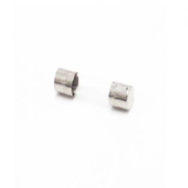 Frigidaire Part# 5304455332 Fuse (OEM)
