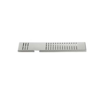 Delonghi Part# 5332216100 Lid Tank (Silver) - Genuine OEM