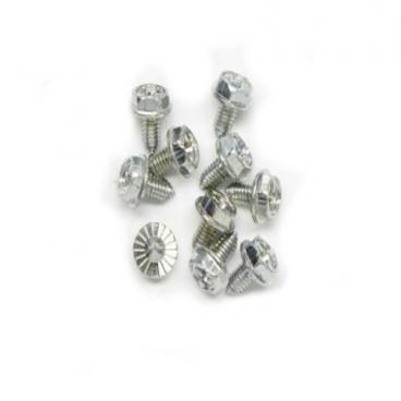 Fisher and Paykel Part# 610213P Screw (OEM) M4X8