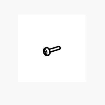 Homelite Part# 660208106 Steel Screw - Genuine OEM