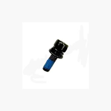 Homelite Part# 6635101 Pan Head Screw - Genuine OEM