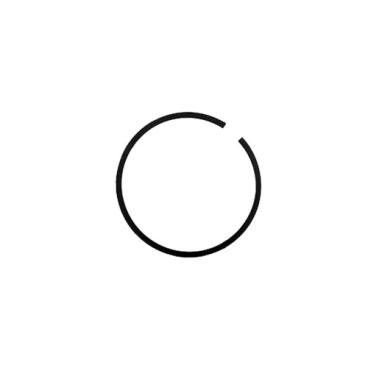 Homelite Part# 690161002 Piston Ring - Genuine OEM