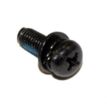 Toshiba Part# 75017637 Screw (OEM) With Two Washers